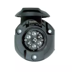 Pistorasia 13/7 nap. WEST - Pistorasiat - 1354 - 1